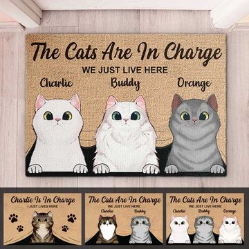 Discover The Cats Are In Charge - Personalized Decorative Mat