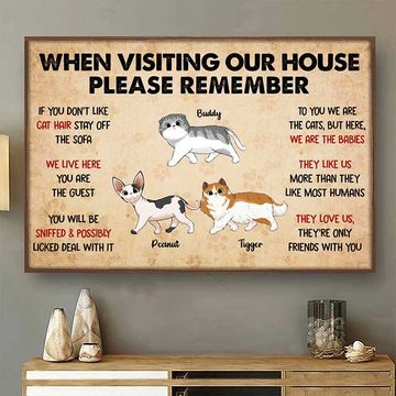 Discover When Visiting My House Cat Walking - Personalized Horizontal Poster