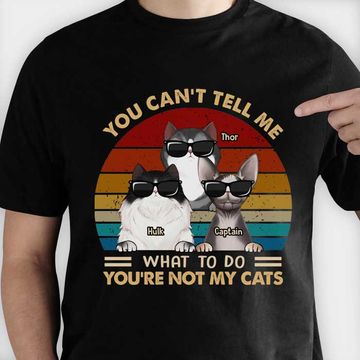 Discover You're Not My Cats - Gift For Cat Lovers, Personalized Unisex T-Shirt