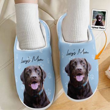 Discover Custom Pet Photo Gift For Dog Lovers - Personalized Photo Slippers