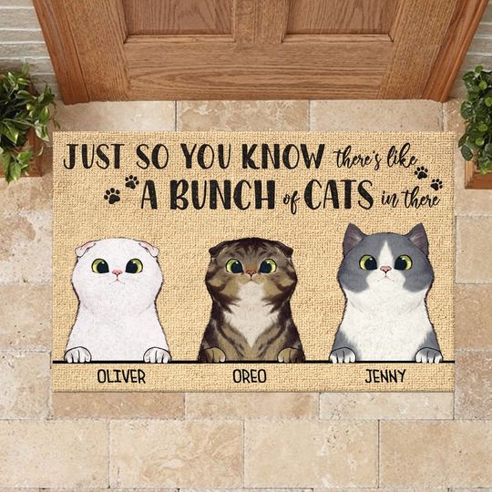 Just So You Know There's Like A Bunch Of Cats In There - Funny Personalized Cat Decorative Mat